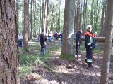 Maibaum_2016 (52).JPG